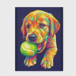 Video preview of bright, flowing pop art pet portraits made from your photo